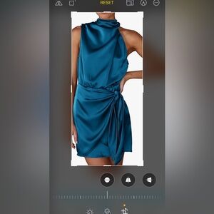 Homecoming, Prom or Cocktail Dress